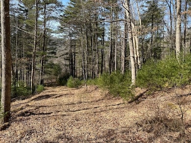 0 Winslow Hill Rd unit 21440465, Benezette, PA 16056 - photo 6