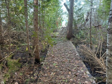 image00013