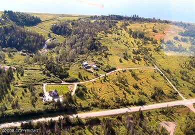 Aerial 3