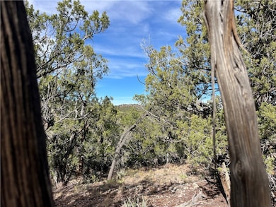 1022 Duffis Bluff Rd, Seligman, AZ 86337 - photo 2