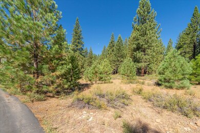 11272 Wolverine Cir, Truckee, CA 96161 - photo 3