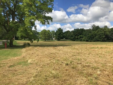 Field