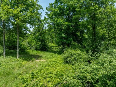 46-web-or-mls-DJI_0530