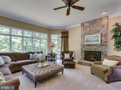 15620 Jillians Forest Way, Centreville, VA 20120 - photo 7