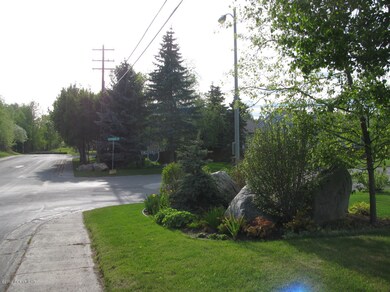 Lush Landscaping