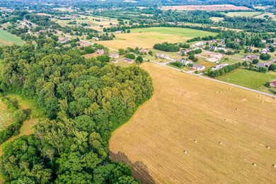 DJI_0889