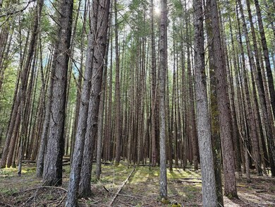 Fernwood 4