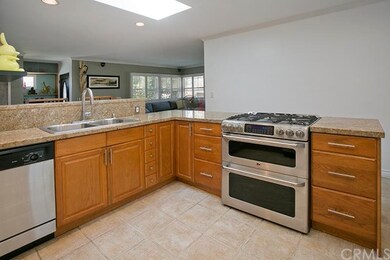 gorgeous professional-grade stove, granite counter