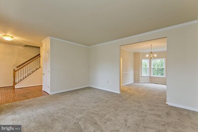 419 Lilys Way, Winchester, VA 22602 - photo 3