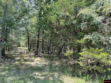 0 Lago Ln, Elizabeth, AR 72531 - photo 5