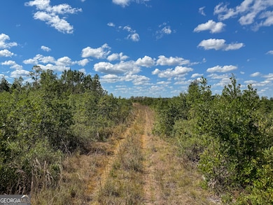 0 U S 84 unit 3 10563296, Homerville, GA 31634 - photo 3