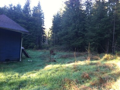 20025 Lake Riley Rd, Arlington, WA 98223 - photo 4