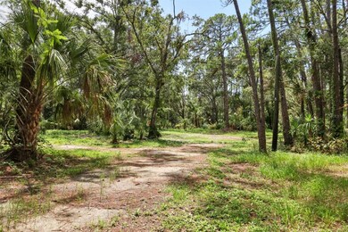 7907 Brower Dr, Bradenton, FL 34211 - photo 5