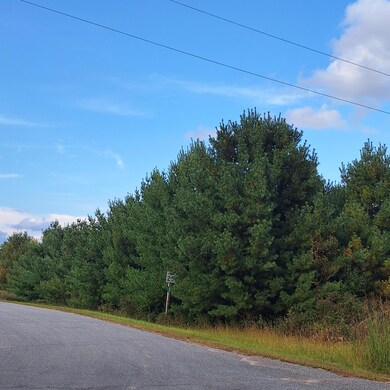 1175 207th Pic 6.jpg