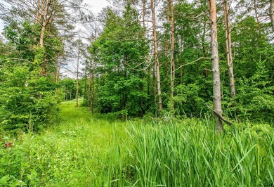 1654 County Route 13, East Chatham, NY 12060 - photo 4