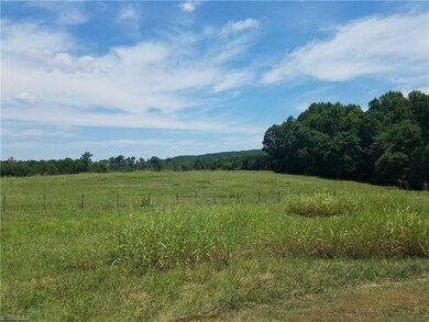 2583 Little River Rd, Asheboro, NC 27205 - photo 6