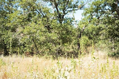 TBD County Road 149, Brownwood, TX 76801 - photo 6