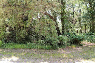 11-web-or-mls-CAMMediaLLC.com 1705-100