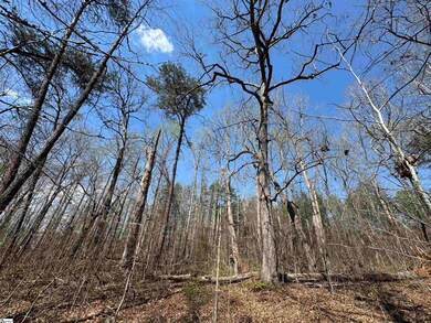 148 Chandler Ct, Greer, SC 29651 - photo 3