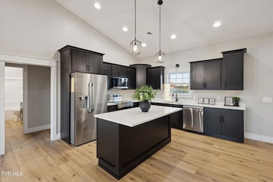 5930 Snapps Ferry Rd unit Lot 3, Afton, TN 37616 - photo 4