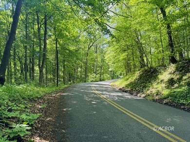 Road leading to property