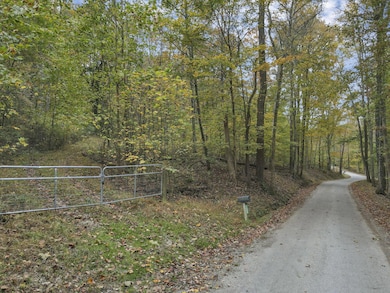 5-web-or-mls-DJI_0995