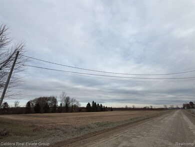 31 Mile Rd, New Haven, MI 48050 - photo 7