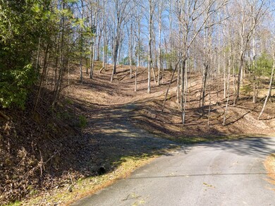 LOT 508 Chicasaw Dr, Ellijay, GA 30540 - photo 6