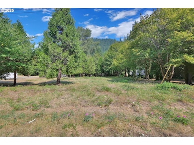 0 Westfir-Oakridge Rd unit 141779874, Westfir, OR 97492 - photo 4