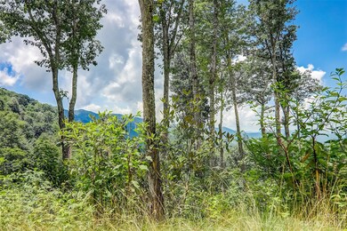 0 Centurian Ln unit 26 CAR4057489, Maggie Valley, NC 28751 - photo 2