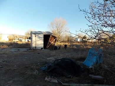 Back-Yard