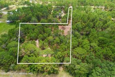 41-web-or-mls-DJI_0122lines (1) (1)