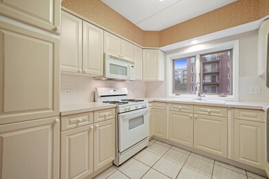 1325 Perry St unit 208, Des Plaines, IL 60016 - photo 3