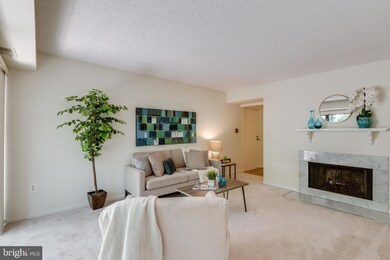 2210 Springwood Dr unit 107, Reston, VA 20191 - photo 4
