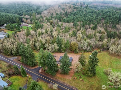 960 Paine Rd, Castle Rock, WA 98611 - photo 5