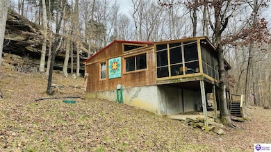 1679 Johnny Frank Rd, Leitchfield, KY 42754 - photo 6