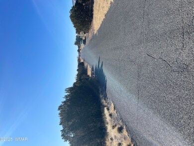 74 Dawn Ln, Concho, AZ 85924 - photo 5