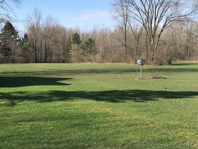 84th St - Back yard