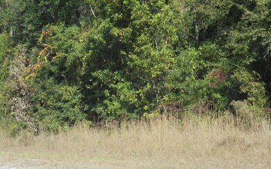 0 Suwannee Woodlands Ln, O'Brien, FL 32071 - photo 7