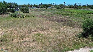3 Jobos, Isabela, PR 00662 - photo 3