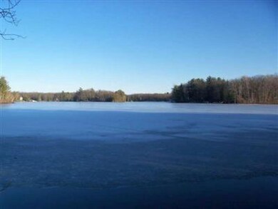 1 Island Dr, Merrill Township, MI 49309 - photo 3