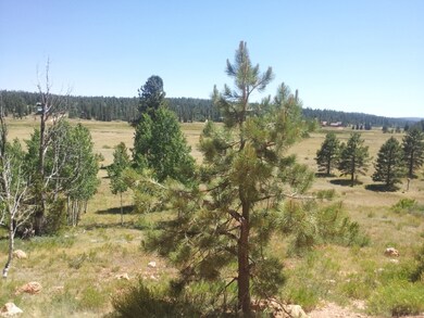 trees