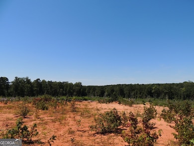 18 +/- AC Bethel Rd W, Franklin, GA 30217 - photo 5