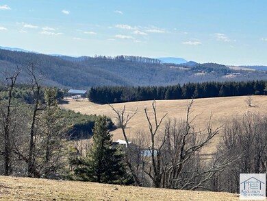 2730 Mountain View Dr, Meadows of Dan, VA 24120 - photo 7