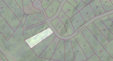 17-035 Seabiscuit Dr, Plymouth, MA 02360 - photo 2