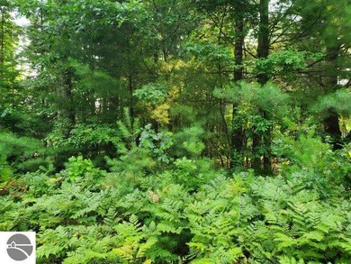 0 Rivers Terrace Rd unit 55, Gladwin, MI 48624 - photo 7