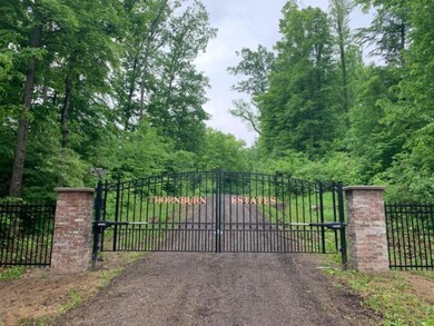 Lot 13 Hjermstad Dr, Ionia, MI 48846 - photo 2