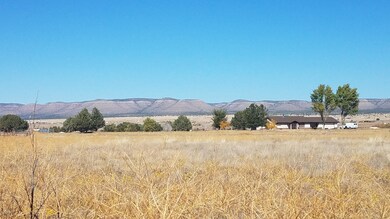 3550 W Spring Trail, Paulden, AZ 86334 - photo 5