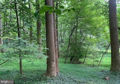 12503 Meadowood Dr, Silver Spring, MD 20904 - photo 6