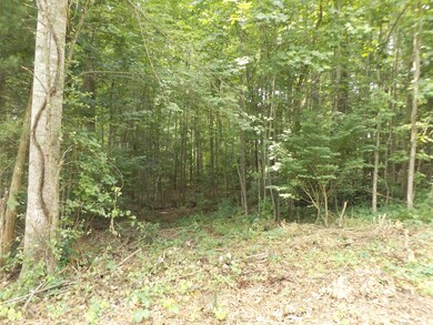 DSCF7071777